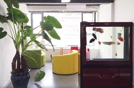 應(yīng)龍游戲辦公環(huán)境